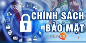 Giới thiệu về chính sách bảo mật của New88