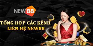 Lợi ích khi liên hệ với New88