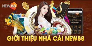 Những ưu điểm nổi bật của New88