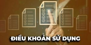 Quyền và nghĩa vụ của người chơi